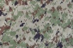 Пиксельные расцветки (компьютерная или же цифровая).
